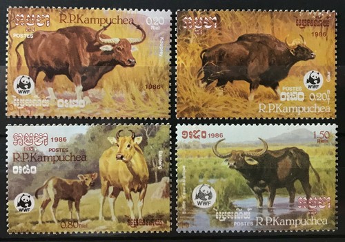 Wwf cambodia wild cattle - -,