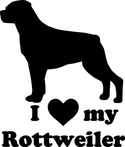 Love rottweiler vinyl - my,