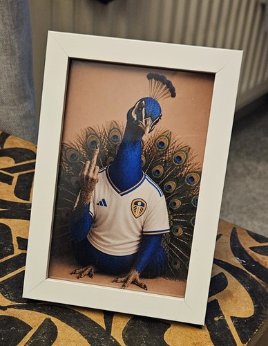 Leeds united yours - leeds,