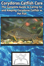 Corydoras Catfish Care: The