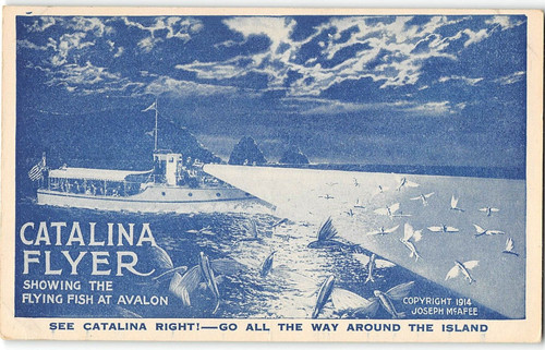 Catalina flyer flying fish - flyer,