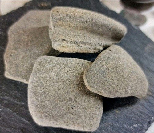Roman pottery greyware - pottery.,