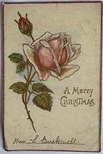Merry Christmas, By Stewart & Woolf, Posted 1905