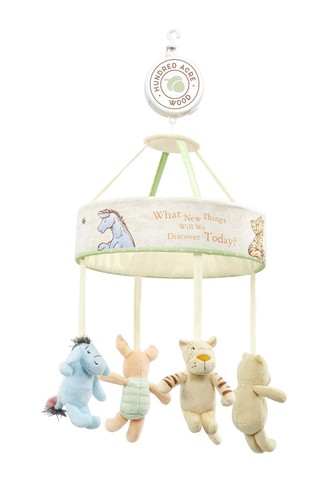 Rainbow designs winnie the - winnie,
