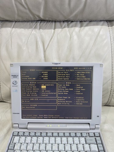 Vintage toshiba satellite - vintage, pro