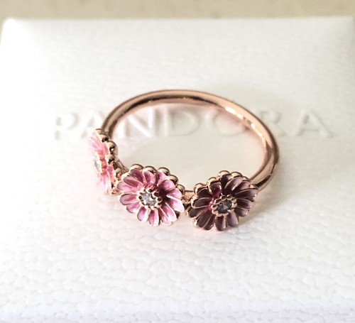 Pandora pink daisy - pink, flower