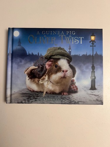 Guinea pig oliver - a,