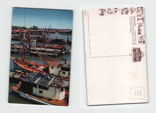 Postcard gulf coast shrimp - -,