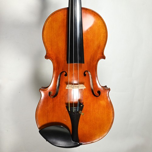 Master violin by luthier - master,