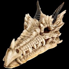 Dragon Skull Incense Stick