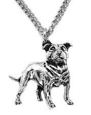 Staffordshire Staffie Bull