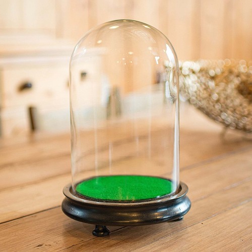 Small antique display dome - small,