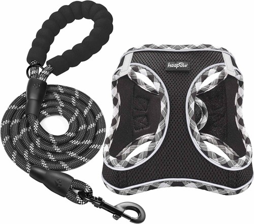Haapaw dog harness and - haapaw, lead