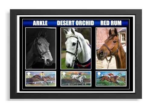 225 arkle red rum - arkle,