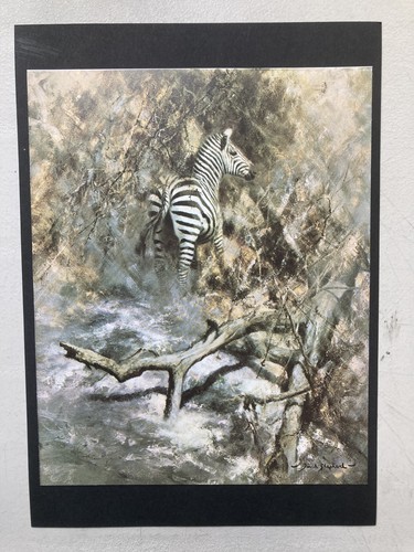 African wildlife print - , '