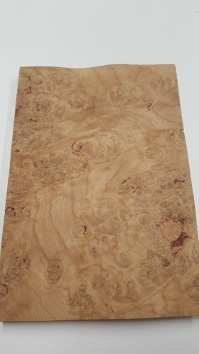 Natural wood burr veneer - natural,