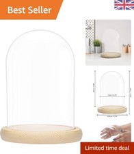 Versatile 20cm Glass Cloche