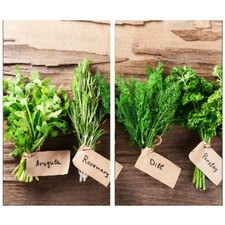 Set of 2 Glass Chopping Board