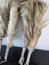 Silver Traditional Horse Tail Igbo Nza Long African Nza IRUKERE BRIDE &MEN CHIEF