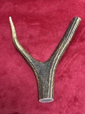 ONE PIECE OF DEER ANTLER, Y