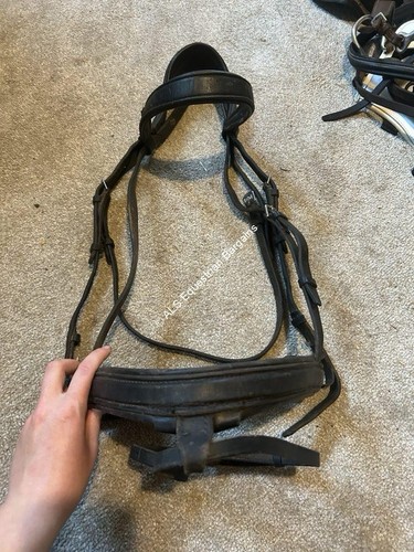 Exselle black flash - flash, bridle