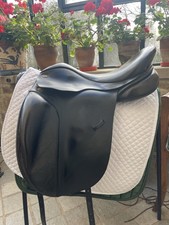 Fairfax Classic Dressage