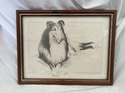 Rough collie sketch art print - collie,