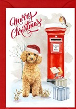 Poodle (Apricot) Dog A6 (4"x