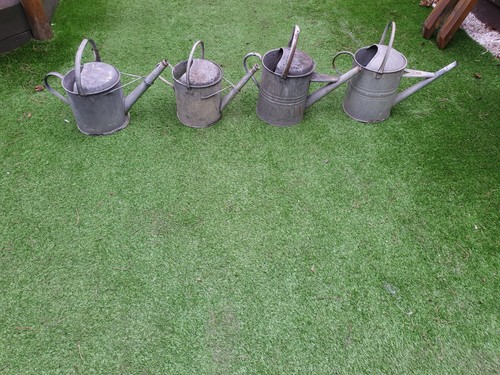 Vintage galvanised watering - vintage,