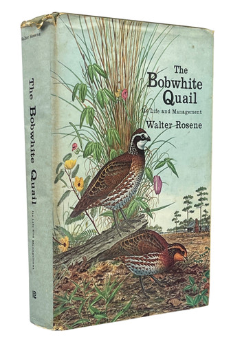 Walter rosene the bobwhite - walter,