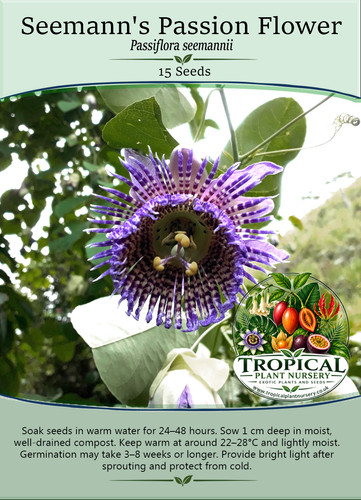Seemann passion flower - seemann's,