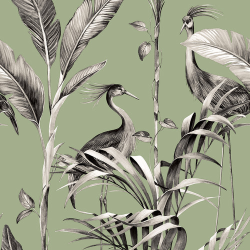 Azzurra leaf heron tropical - heron,