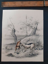 Print with hand coloured