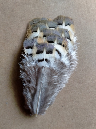 Fly tying native crafts - /,