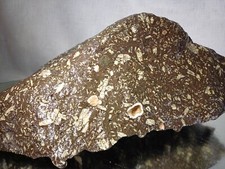 3.63kg Raw Fossils Rocks crystal Minerals Specimen 