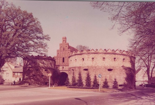 Vintage color photograph hille - vintage,