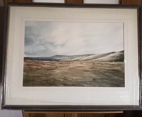 Brian irving original signed - brian,