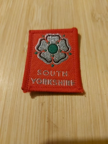 Scouting district badge - scouting,