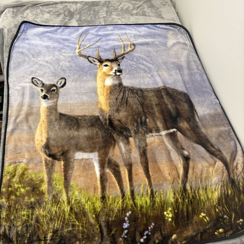 Whitetail deer blanket buck - blanket,