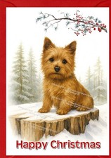 Norwich Terrier Dog A6 (4"x