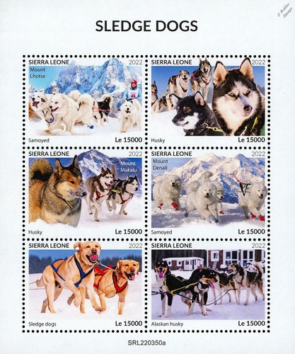 Sled dogs husky samoyed arctic - dogs,