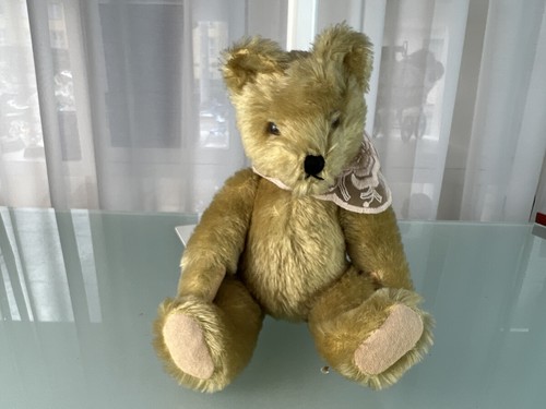 Old collectors teddy bear - teddy,