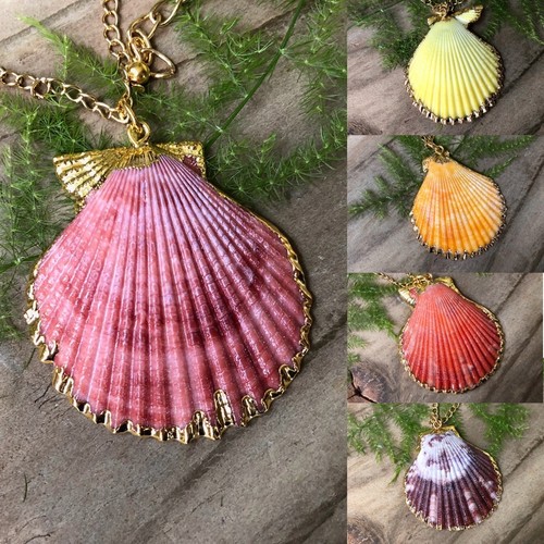Seashell pendant necklace - pendant,