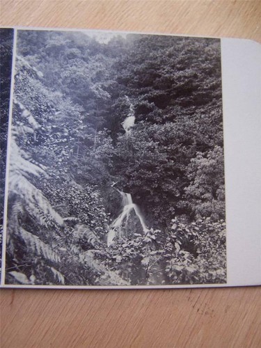 Stereoscope stereo view - stereo,