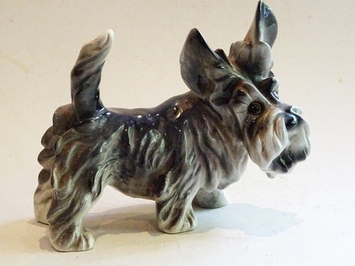 Scottish terrier scottie - terrier,