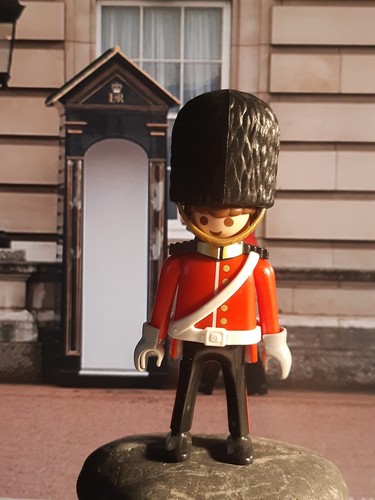 Playmobil royal guards - "royal,