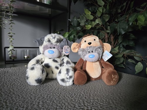 You bear in - you, monkey