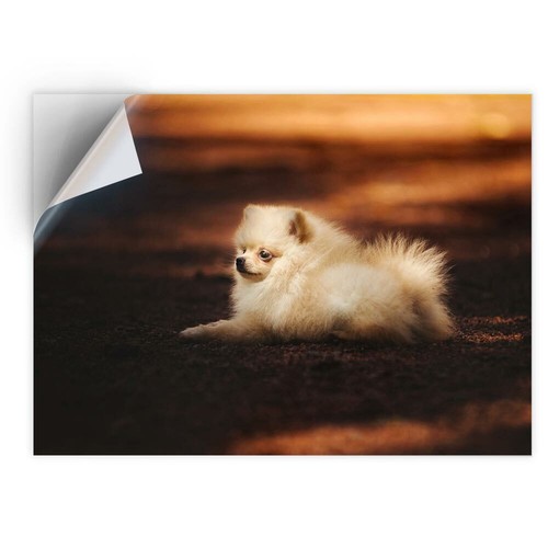 Vinyl sticker cute - a4,