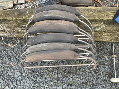Eagle bow perch - eagle,
