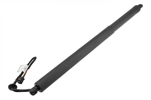 Tailgate lifting motor both